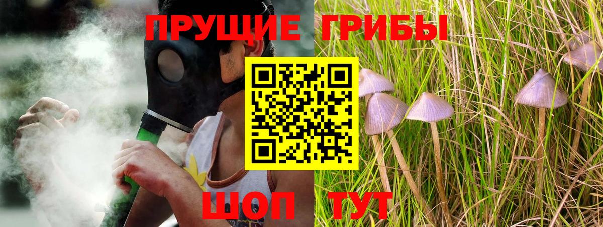 Псилоцибиновые грибы ЛСД Кимры