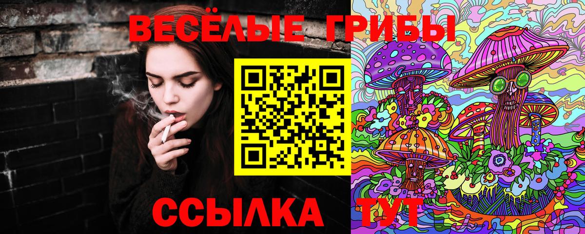 Кимры  Псилоцибиновые грибы мицелий  Вход с VPN 